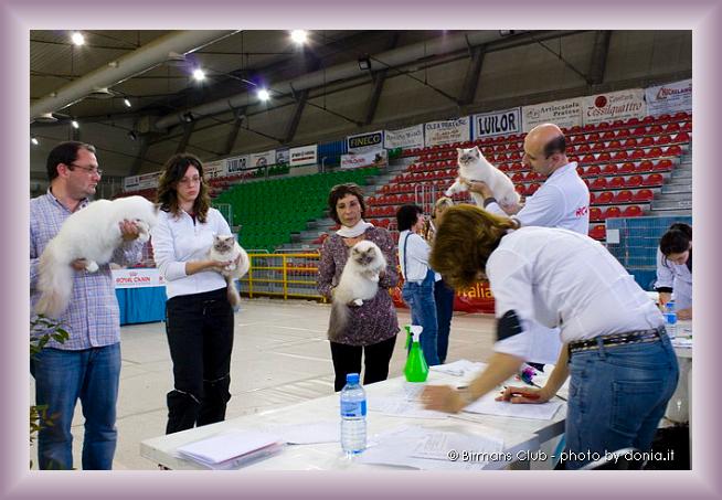 Foto successiva